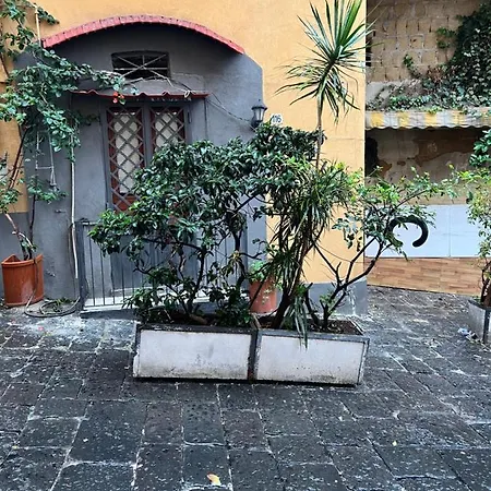 Petite Apartment