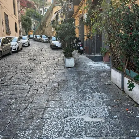 Petite Naples