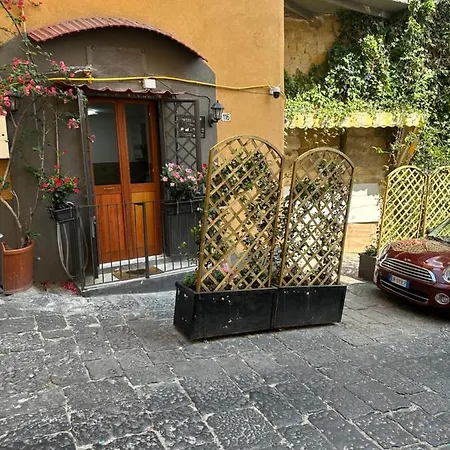 Petite Naples