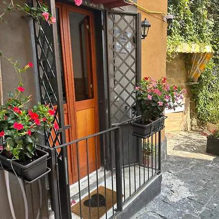 Апартаменты Petite Неаполь